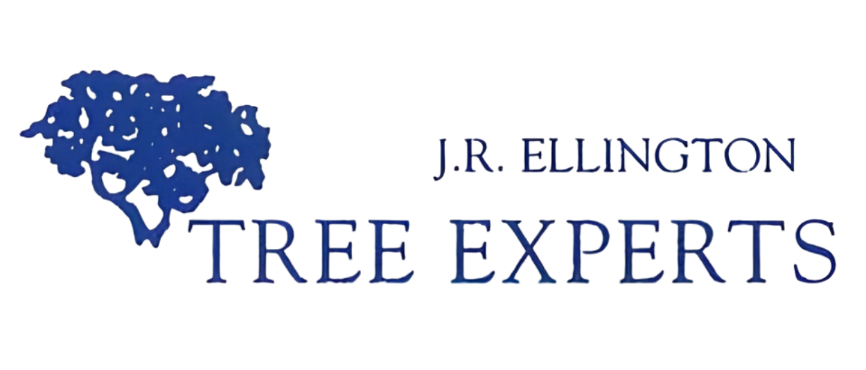 J.R. Ellington Tree Experts